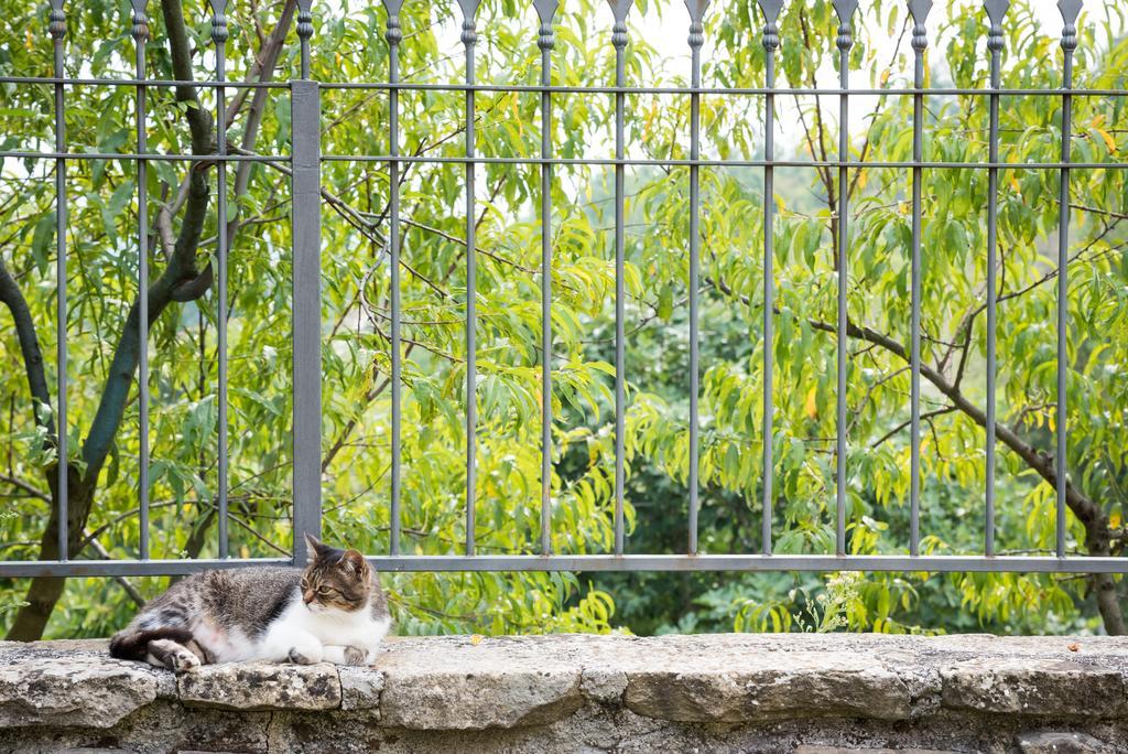 Masseria Acquasalsa Agnone Bagian luar foto